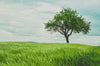 Testing Alt